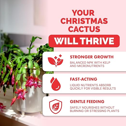 Christmas Cactus Fertilizer – Liquid Plant Food for More Blooms, Brighter Flower Color & Stronger Root Development, 8 oz