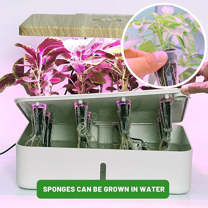 300Pcs Growth Sponges for Pods, Greenhouses Sponges, Grow Sponges for Greenhouses & Germination Equipment, Starter for Indoor Garden System (Brown)