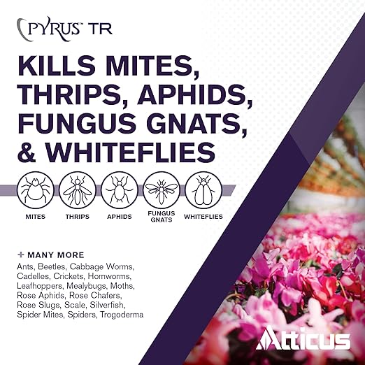 Atticus Pyrus TR Greenhouse Fogger (2oz) - Total Release Pyrethrin Insecticide/Miticide - Controls Mites, Thrips, Aphids, Whiteflies, and Fungus Gnats (Packaging May Vary) (Pack of 3)