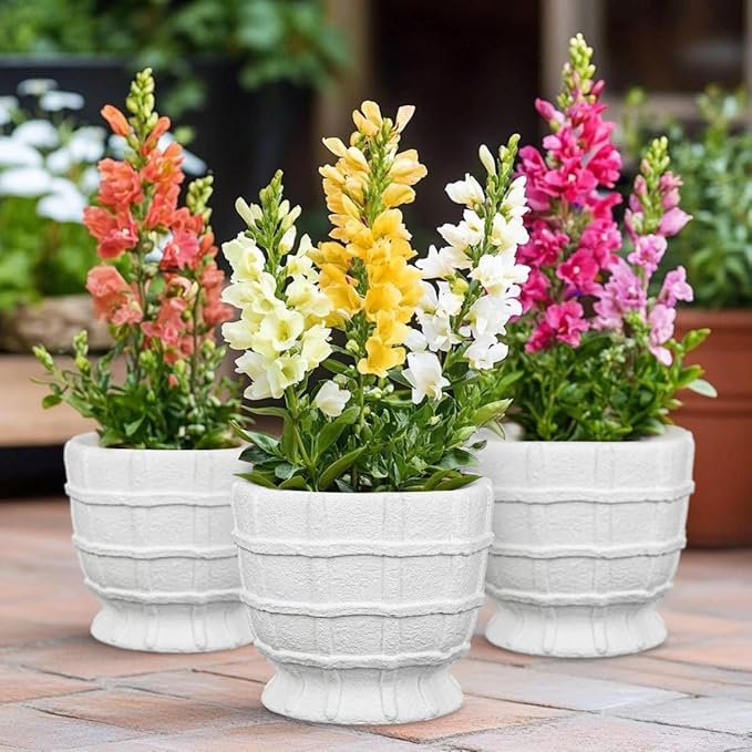6" White Ceramic Plant Pots with Drainage Hole, Rustic Flower Pots for Indoor Plants, Outdoor Decorative Ceramic Planters Pot Small Plant Pot for for Succulents, Cactus, Herbs, Orchids Planters