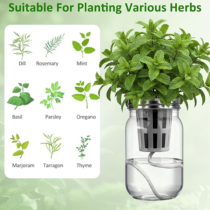 Teenyyou 12 Set Hydroponic Garden Mason Jar Kit Self Watering Herb Hydroponic Planter Starter Kit with Net Pot Garden Flower Plant Growing Gift for Indoor Herbs Windowsill Gardening