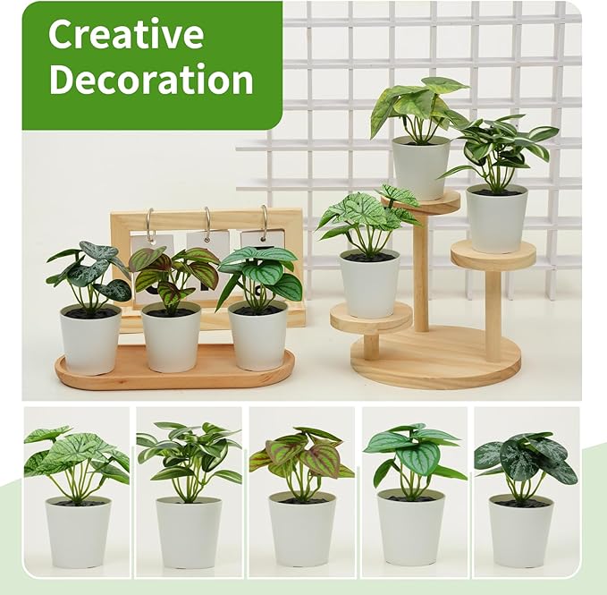 Freyalife 6 Pack Fake Plants for Room Decor,Mini Artificial Potted Plants for Home Office Living Kitchen Classroom Table Shelf Desk Farmhouse Bathroom Indoor Decor