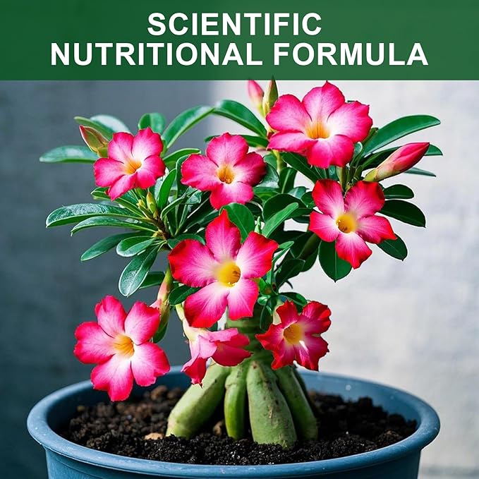 Doter Organic Desert Rose Potting Soil Mix for Healthy Growth 4qt - 100% Natural Potting Mix - Specially Formulated Nutrient-Rich Plant Soil for Desert Rose Plant