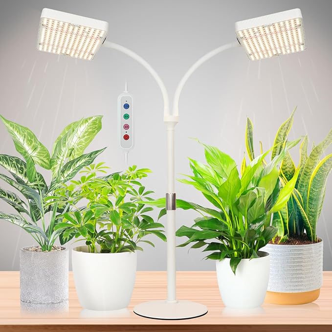 2Head Tabletop Grow Light, Bright and Big Coverage Grow Lights for Seed Starting, Bonsai, Succulent, 4/8/12/16/20H Timer, 50 Watt Power Draw, NO Need Adapter, 16"-24" Height Adjustable