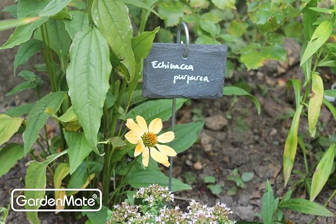 GardenMate 10-Pack Natural Style Slate Plant Labels (4"x 2 3/4") Hanging from a Stainless Steel Metal Rod (22")