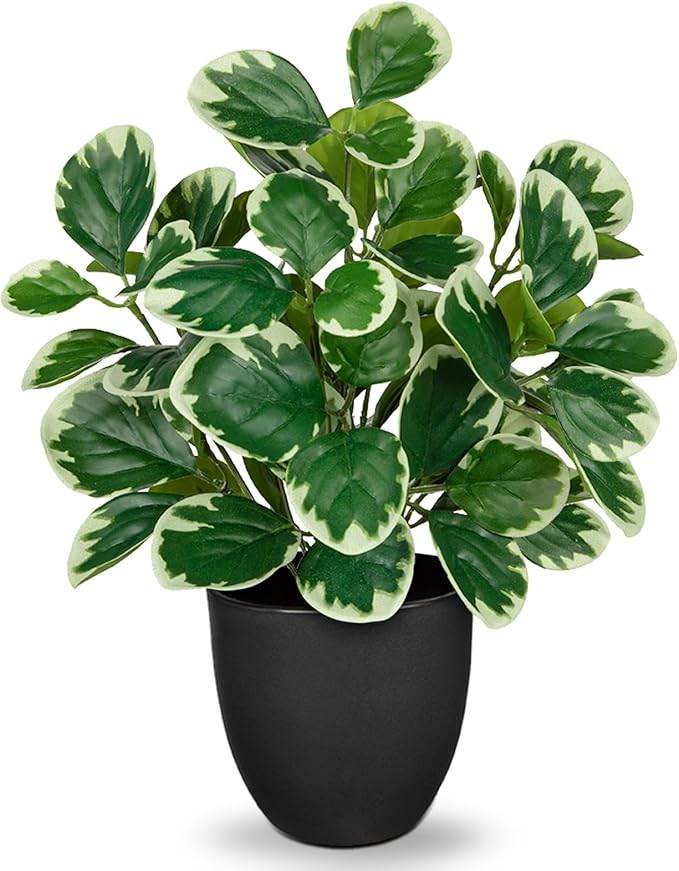 Villa Como 14.5" Artificial Plants Indoor Home Decor, Fake Potted Silk Plants for Shelves Living Room Decorative, Small Artificial Office Desk Plant in Pots, Faux Peperomia Hope Tropical House Plant