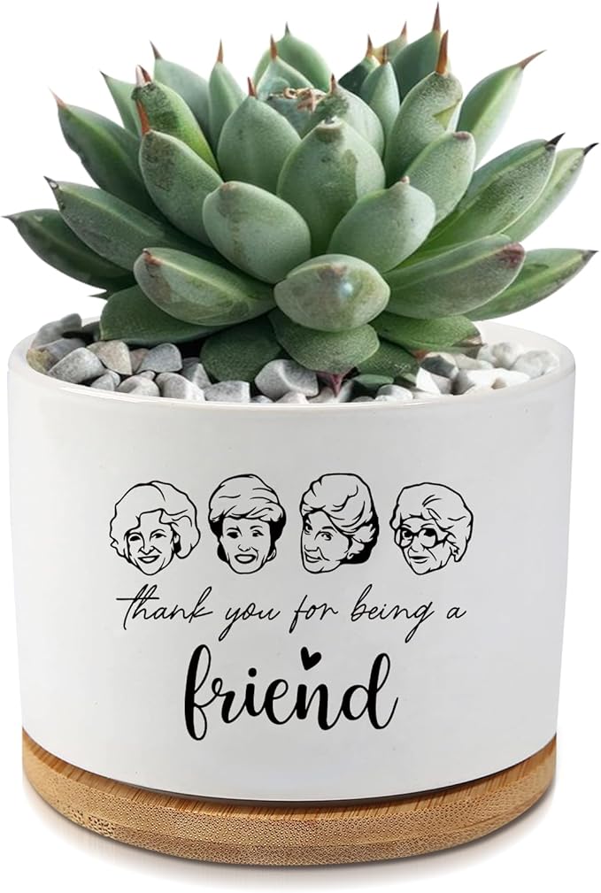 Golden Girls Merchandise,Thank You for Being A Friend,Succulent Flower Cactus Plant Pot with Drainage,Friendship Gifts for Friends Bestie Sister,Friend Gifts for Women(Plant Not Included)