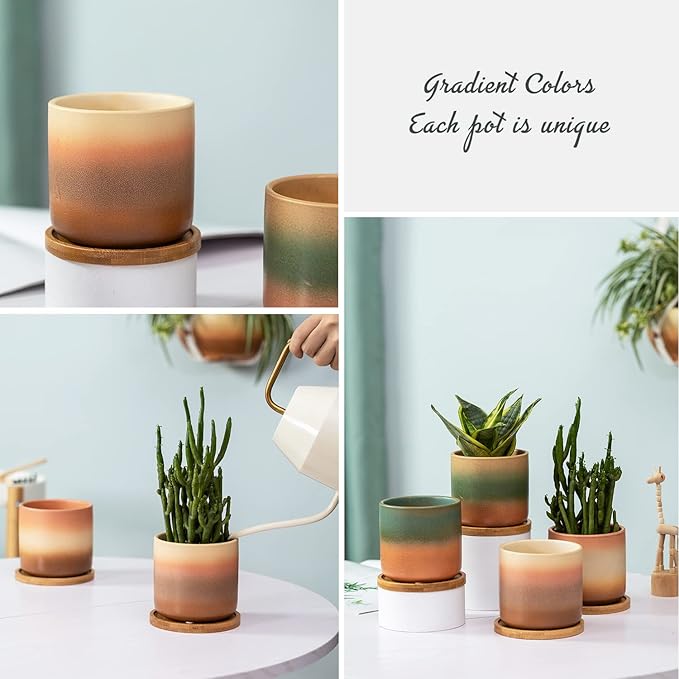 TAMAYKIM 4 Inch Cylinder Ceramic Plant Pots with Drainage Hole and Saucers, Small Glazed Gradient Colors Flower Pot with Trays for Indoor Planter, Succulent, Cactus and Herbs, Set of 4