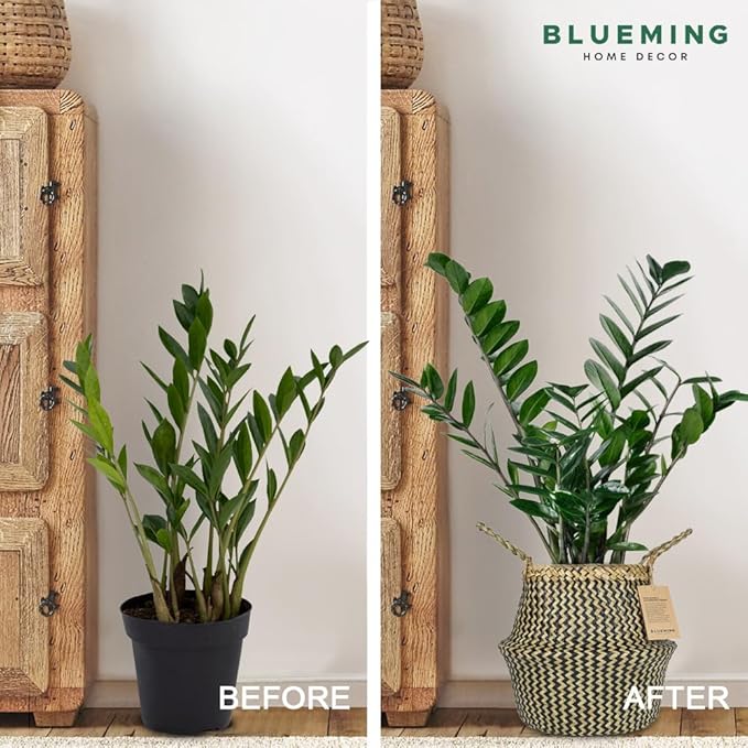 Blueming Home Wicker Plant Basket – Large Seagrass Floor Pot for Faux Olive Tree or Snake Plant, Black Decorative Woven Indoor Planter for 9-10 Inch (Black, Large)