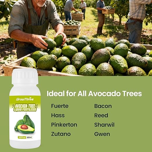 Avocado Plant Food 10oz – Organic Liquid Fertilizer with Probiotics, Natural Root & Leaf Booster, Chemical-Free Avocado Tree Fertilizer for Bigger, Tastier Fruits, Strong Growth