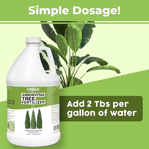 Arborvitae Tree Fertilizer – Liquid Plant Food for Fuller Green Foliage, Faster Growth & Stronger Root Development, 1 Gallon