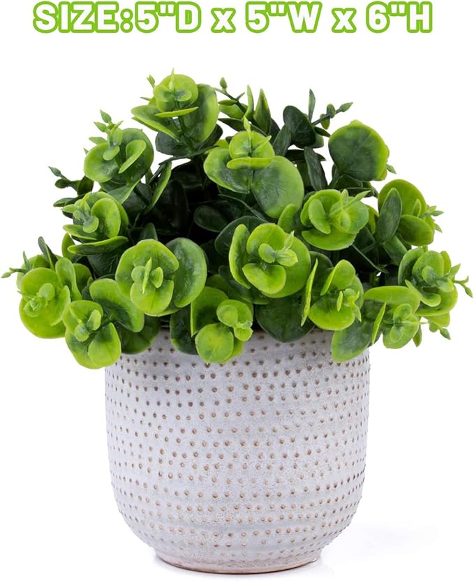 Artificial Plants in Ceramic Planter Cute Lysimachia Fake Succulent Flowers Potted for Home Office Table Desk Decor Living Room Bathroom Bedroom Shelves Decoration