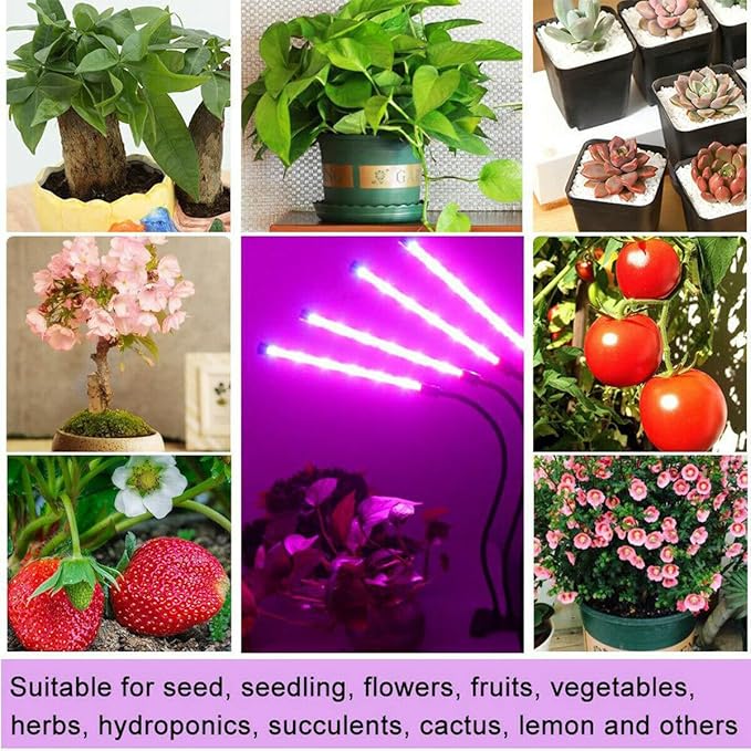 Clip On Grow Light for Indoor Plants,Full Spectrum Led Plant Grow Lights with Auto-Timer, Plant Growing Lamp for Seed Starting,Houseplants, Bonsai, Pot Plant (1-Lamp)