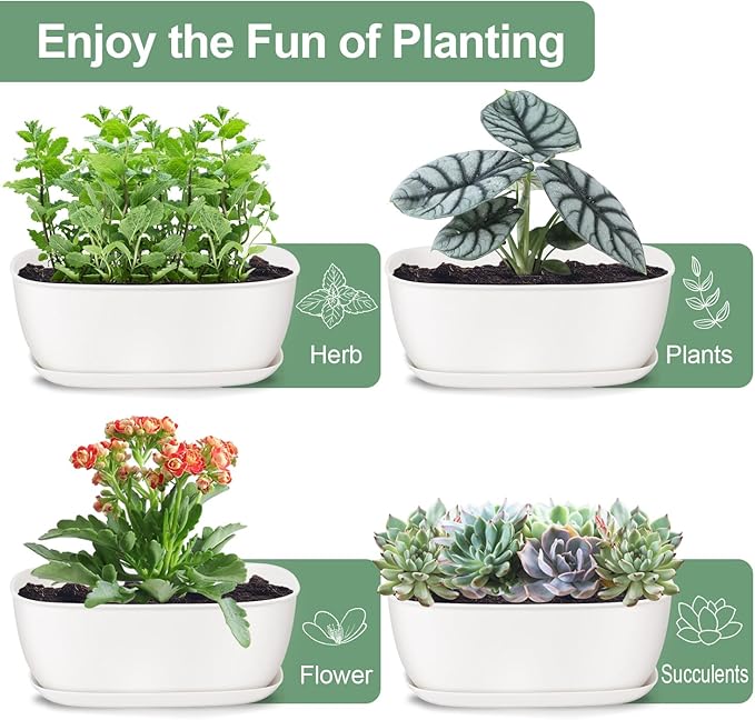 Oliz Set of 4 White Oval Shallow Herb Garden Planters with Drainage Holes and Trays (8.66 Inch) Plant Pots for Herbs Basil Orchids Succulents, Modern Herb Garden Planter for Indoor/Outdoor Plants