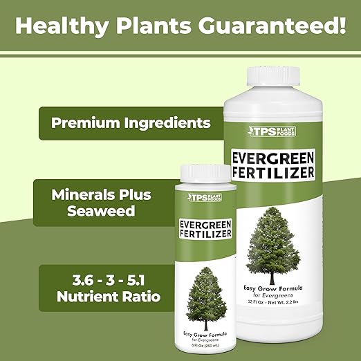 Evergreen Tree Fertilizer – Liquid Plant Food for Rich Green Needles, Stronger Roots & Healthy Year-Round Growth, 8 oz