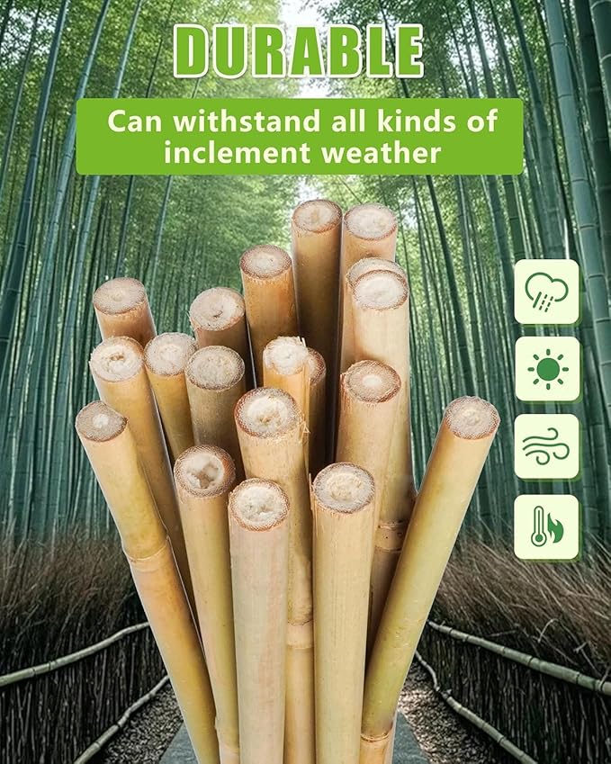 Natural Bamboo Plant Stakes (3ft-50pcs)