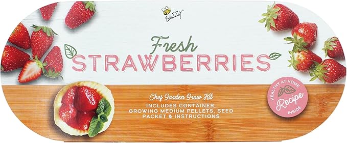BUZZY Seeds Strawberry Grow Kit Easy Indoor Windowsill Garden with Decorative Metal Planter, Non-GMO Seeds, Growing Medium, A Fun Gift for Beginning Gardeners