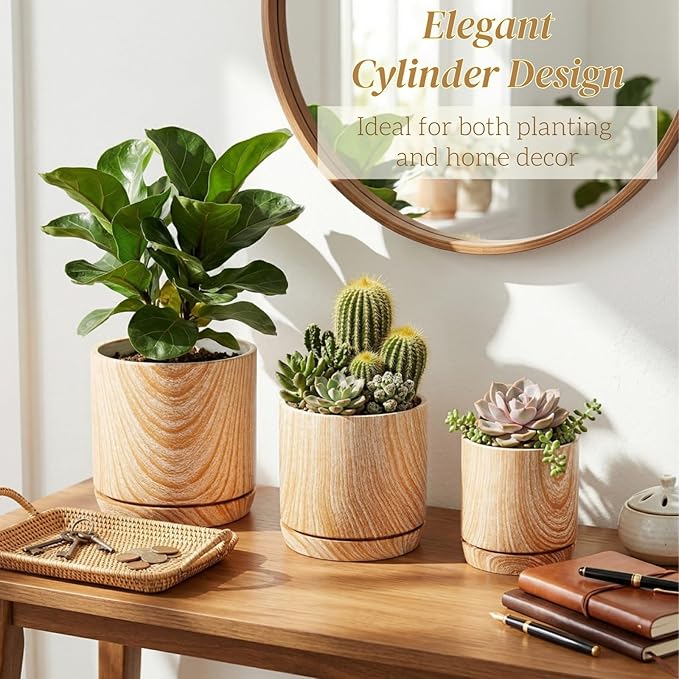 Dicunoy Set of 3 Ceramic Planters - 6"/5"/4" Cylinder Flower Pots with Drainage Holes and Saucers for Indoor, Outdoor, Garden, Cactus, Herbs, Snake Plants, Aloe Vera, All House Plants