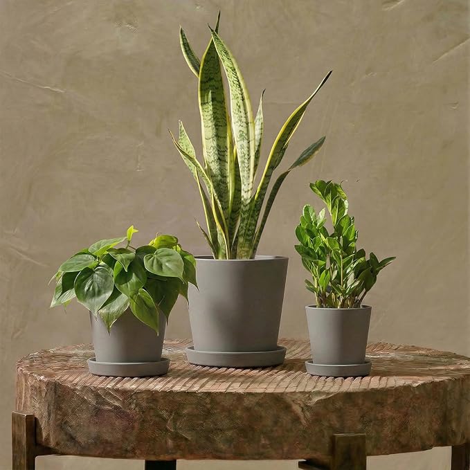 Bamworld 3 Pack Plastic Plant Pots with Drainage Holes and Saucers 6/7/8 Inch 5mm Thick Modern Decorative Flower Pots for Indoor Outdoor Plants Gray