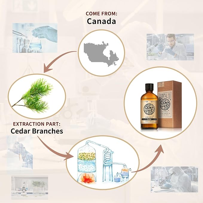 AKARZ 100ml Cedar Essential Oil Natural Cedar Oil Pure for Candle Making,DIY Skincare Products Massage,Home Spa Relaxation