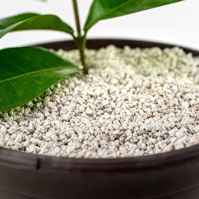 GARDENERA Premium Organic Perlite - Medium Grade - Horticultural Soil Amendment for Indoor & Outdoor Container Plants for Drainage Management and Enhanced Growth - 3 Quart
