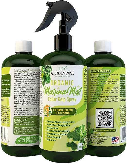 GARDENWISE Organic Marina Mist Foliar Spray for Fiddle Leaf Fig and Other Ficus Trees | Micro Nutrients for Vital Health | Gentle Formula | Liquid Plant Food | Quick Results | Ready to Use (16 OZ)
