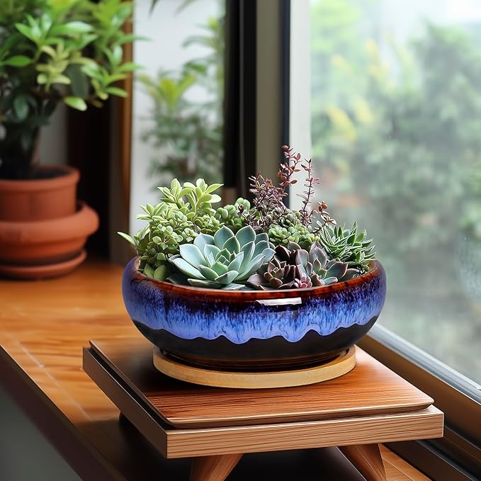 SQOWL 7 Inch Round Ceramic Succulent Planter Pot Drip Glazed Shallow Planter with Drainage Bamboo Tray for Indoor Plants