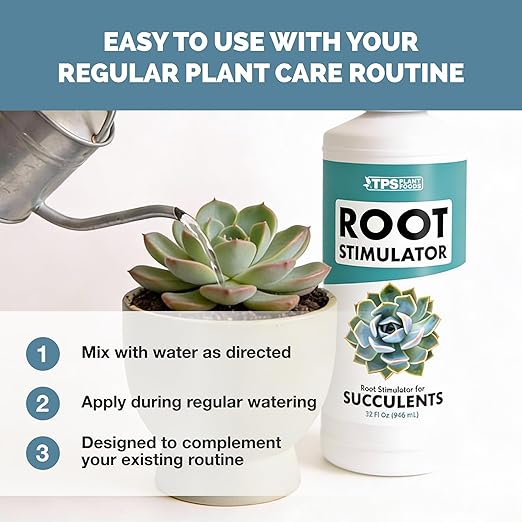 Root Stimulator for Succulents – Liquid Root Supplement with Kelp & Probiotics for Stronger Roots & Improved Water Efficiency, 32 oz