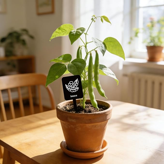 Whaline 20Pcs Acrylic Vegetable Plant Label Signs 20 Styles Garden Markers Waterproof Black Plant Stake Tags with Names for Nursery Indoor Outdoor Garden Decor