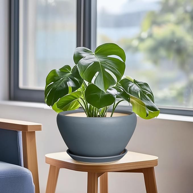Ceramicfor Ceramic Pots for Plants - 9 Inch Planter for Outdoor Plants Large Plant Pot Indoor with Drainage Hole and Saucer Decorative Modern Flower Pot for Home Garden Decor Gray