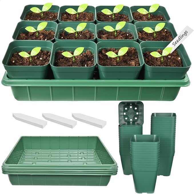 June Fox 60 Pcs Square Nursery Pots for Plants, 5 Pcs Seed Starter Tray Kit, Small Seedling Pots 4 Inch with 60 Plant Tags, Seedling Trays (Green)