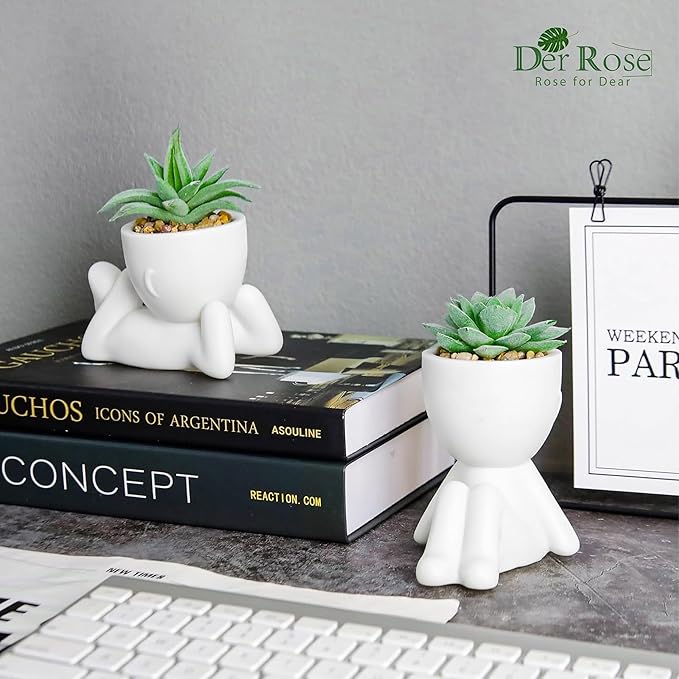 Der Rose 2 Pack Fake Plants Succulents Plants Artificial for Living Room Home Bathroom Office Decor