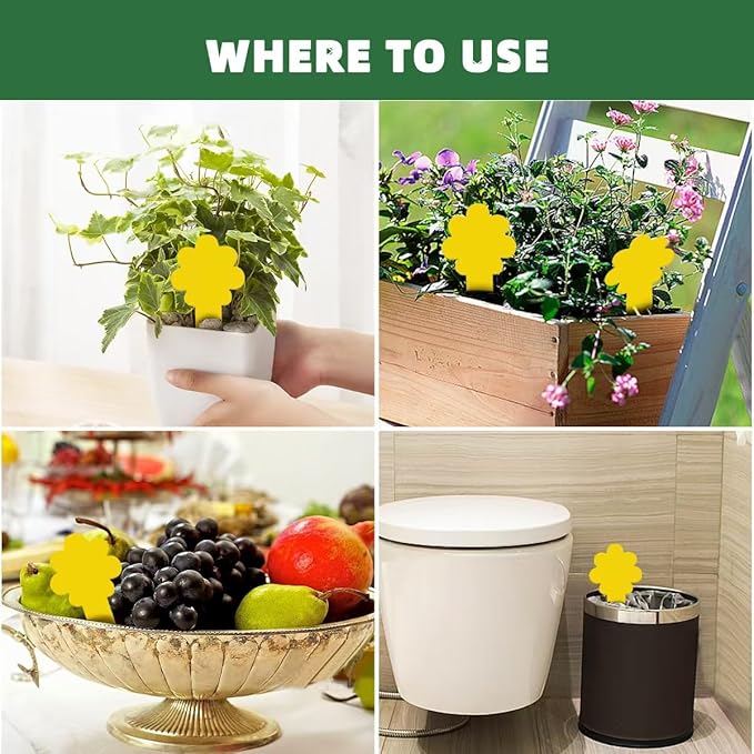 Sticky Yellow Fungus Gnat Traps, Easier to Use, No Touching Glue Or Bugs, Targets Species for Gnat, Fruit Fly & Pests, Thoughtfully Designed, High Capture Rate, Kid & Pet Safe, 36 Traps