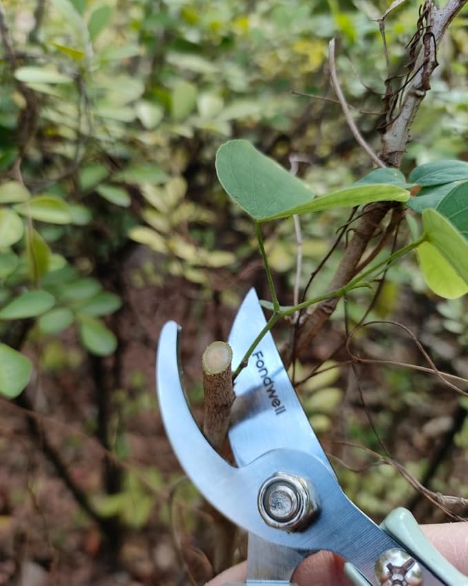 Fondwell 6" Gardening Shears Hand Pruners: Lightweight Garden Trimmers with Bypass Blades - Reliable Bonsai Cutters for Small Plants
