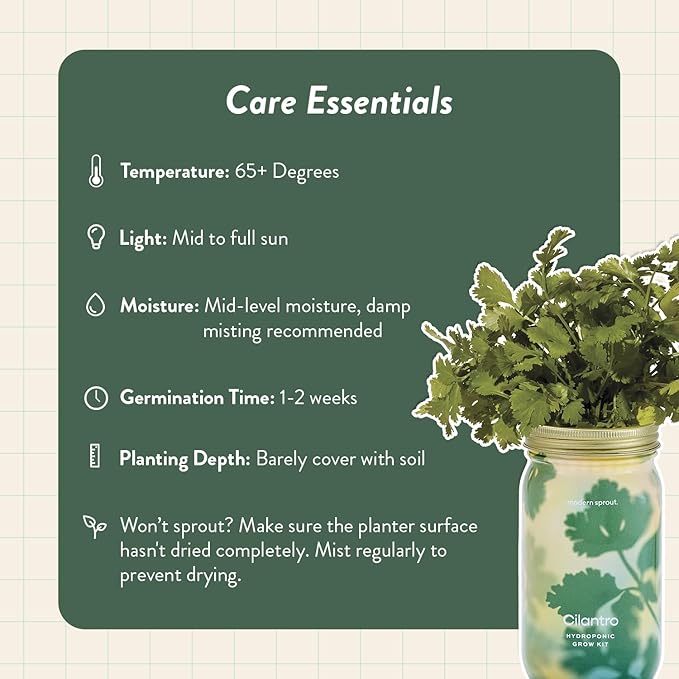 Modern Sprout Mason Garden Jar - Self-Watering Hydroponics Growing System Kit with Organic Herb Seeds - Jar Planter for Indoor Herb Garden - Seed Starter Kit - Home Decor & Gifting - Cilantro
