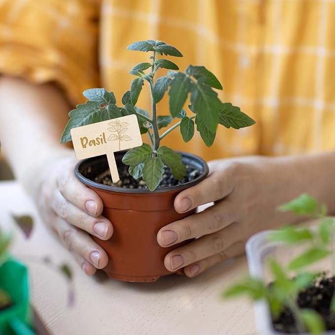 JarThenaAMCS 24Pcs Wooden Plant Label Signs 12 Styles Spring Summer Garden Herb Markers Wood T-Type Tags Reusable Plant Stake Tags with Names for Nursery Indoor Outdoor Garden Decor