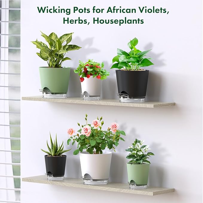 Meowell Self Watering Pots Pack of 6 – Different Size 4" to 7" Indoor Plant Pots with Drainage Holes and Clear Reservoir for Visible Water Level, Plastic Wicking Planters for House Plants, Green