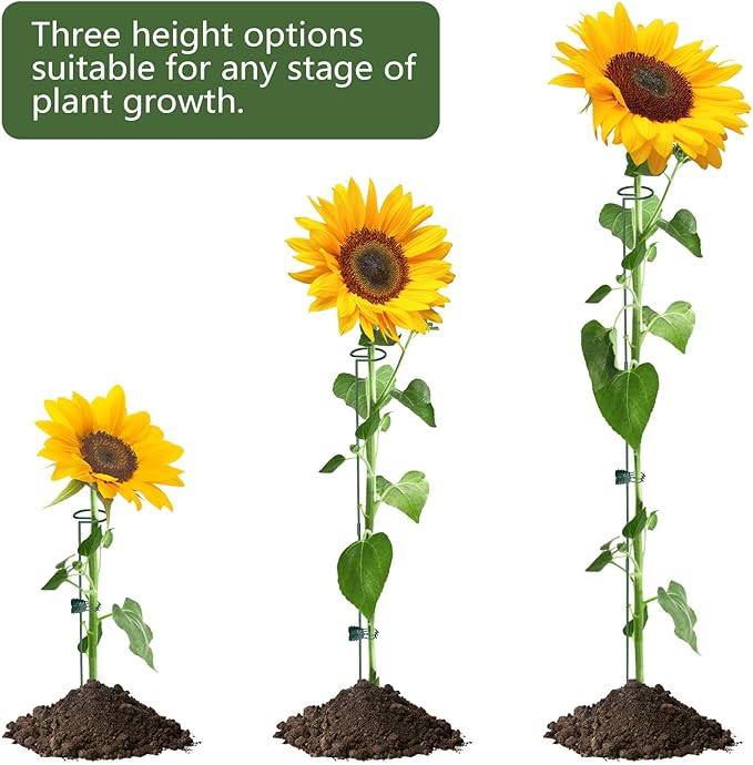 Unves 36 Inch Plant Stakes Tall, 5 Set Plant Support Stakes for Indoor or Outdoor, Three Sizes(12 or 24 or 36 Inch) Garden Plants Cages Support Rings for Flowers Tomato Amaryllis Lily Peony Rose
