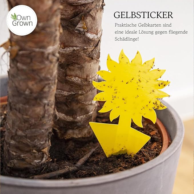 OwnGrown Yellow Sticky Fly Traps for Indoor Plants - 60 Pieces Effective Gnat Control, White and Fruit Fly Traps - Sunflower Sticker Paper Ideal for Houseplants and Indoor Use - 5.3" x 2.95"