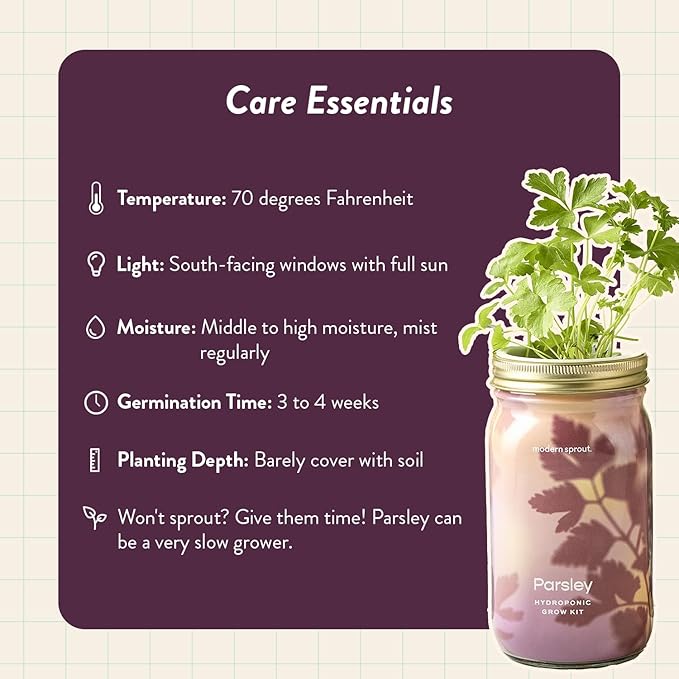 Modern Sprout Mason Garden Jar - Self-Watering Hydroponics Growing System Kit with Organic Herb Seeds - Jar Planter for Indoor Herb Garden - Seed Starter Kit - Home Decor & Gifting - Rosemary