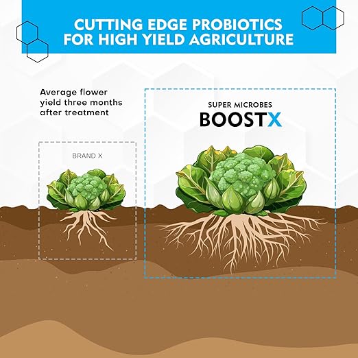 BoostX – Organic Plant Fertilizer | Premium NPK Nutrients for Stronger Plants & Better Flowering | Mycorrhizae & Trichoderma for Improved Growth