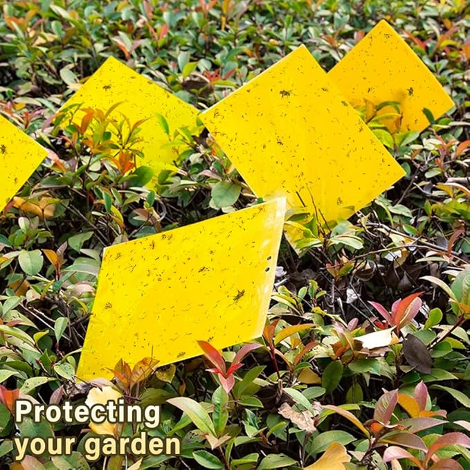 Fruit Fly Trap, 40pcs Yellow Sticky Traps for Plant Gnats, Two-Sided Insect Control, Fruit Fly Killer Indoor and Outdoor Protect The Plant