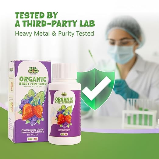 Organic Berry Fertilizer, OMRI Listed Concentrated Liquid Seaweed Extract, 2oz Kelp Plant Food Nutrient Boost Ideal for All Berries Bush Strawberry Blueberry Healthy Growth