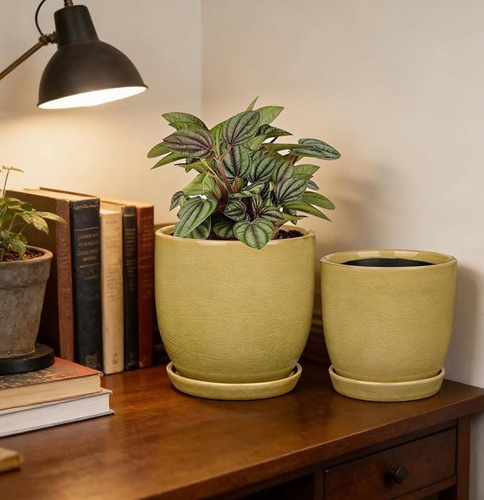 GnFlus Ceramic Plant Pots 5 Inch + 4 Inch Set of 2, Flower Plants Pot with Drainage Holes and Saucers Tray Planter Garden Pot for Succulent Cactus Home Decoration Gift Indoor Outdoor Green