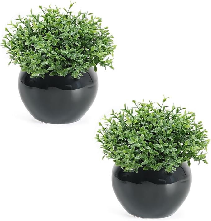 Velener Fake Sage Plants for Shelf Decor, Small Artificial Succulents Grass Desk Plant for Office Women, Mini Faux Plant Indoor, Masculine Home Decor, Coffee Table Decor, Bathroom Decor (2 Pack)