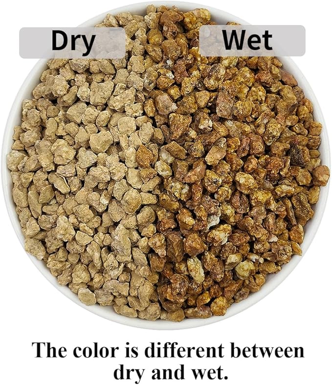YISZM Succulent and Cactus Maifanitum Stones Garden Accessorie Rocks Pumice for Indoor Plants, Bonsai, Fairy Gardening, Vases Fillers, Terrarium, 5lb