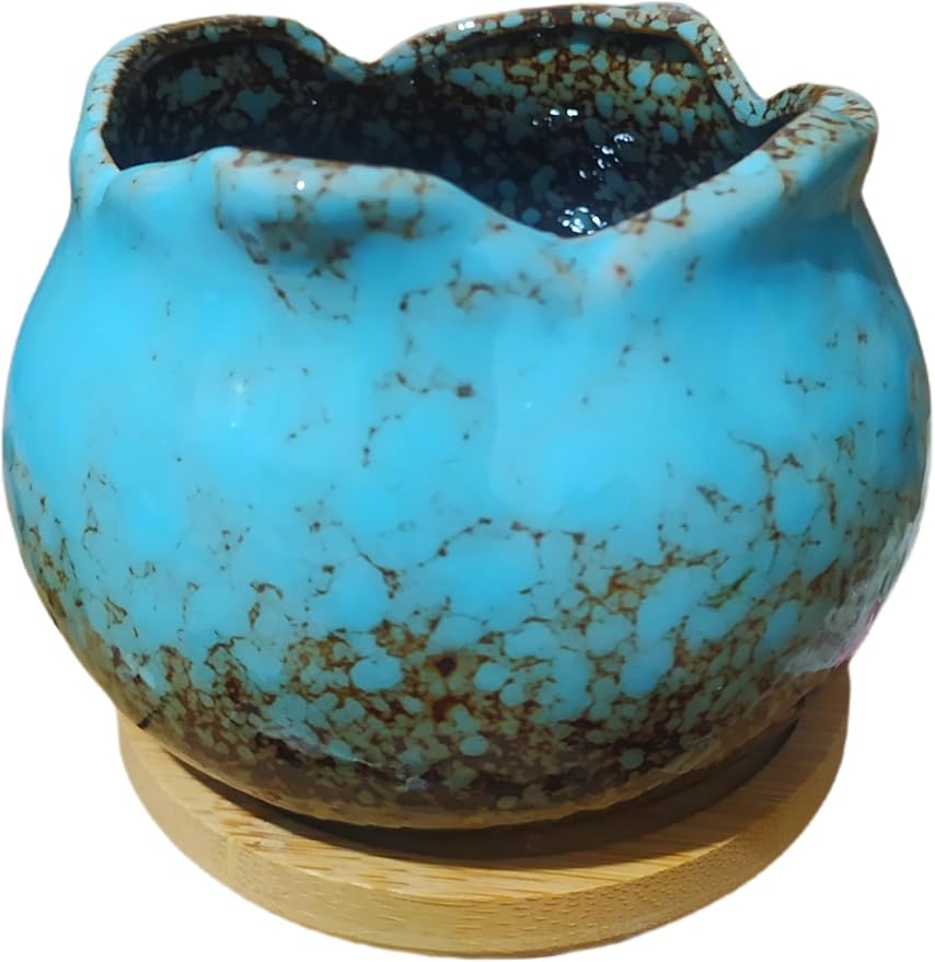 Cute Circular Ceramic Home Garden Decoration Succulent Cactus Flower Pots Container with Bamboo Tray -Plant Not Included (Blue, 4 Inch)
