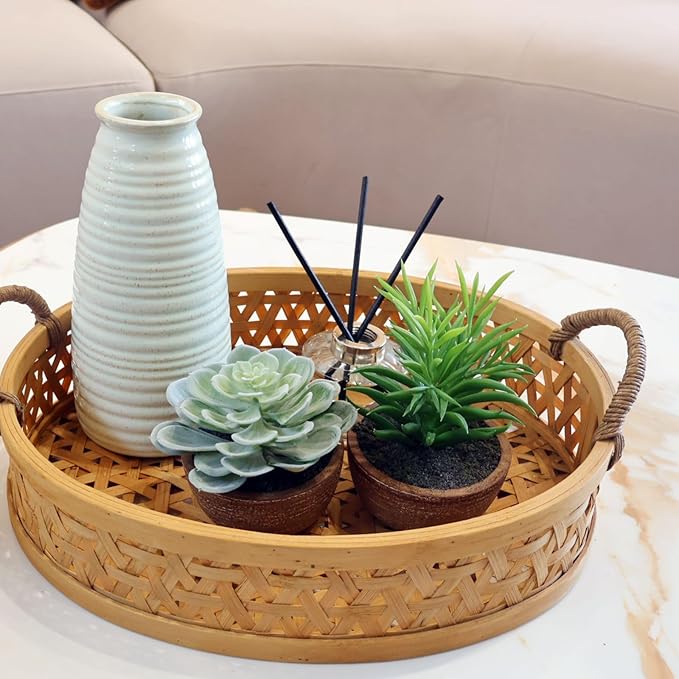 Artificial Plants Indoor with Pot, 2 Pack Fake Plants Indoor, Faux Succulents for Desk, Faux Greenery in Modern Farmhouse Decor, Home Decor Bathroom Bedroom Decor Aesthetic Coworker Gift
