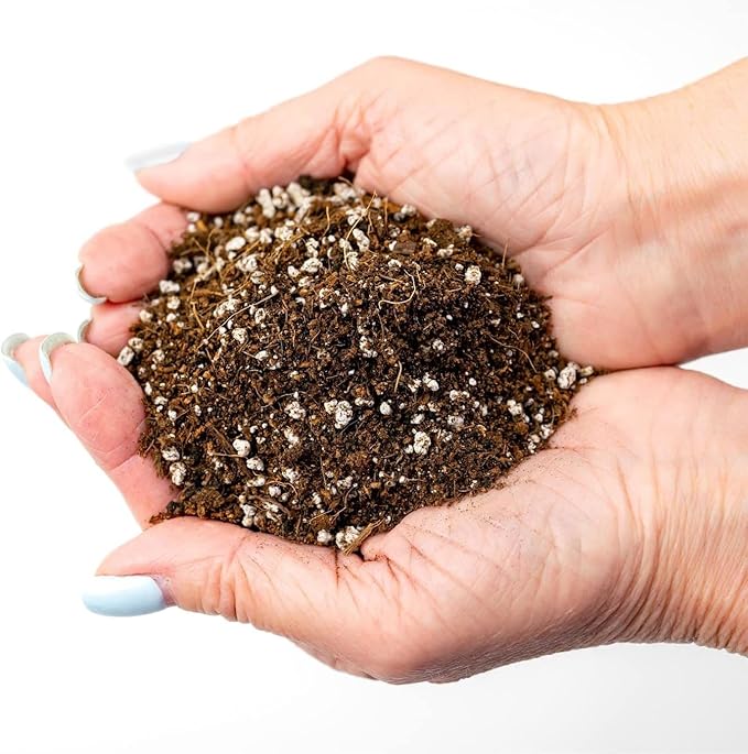 Premium Organic Seed Starter Soil - 3 Quart - All-Purpose Organic Potting Soil for Happy Seedlings and Plants by Gardenera