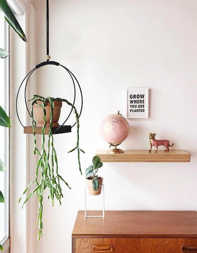 Hanging Planter - Plant Hanger Indoor Hanging Plant Holder for Window Wall Celling Decor (Brown, 1 Pack)